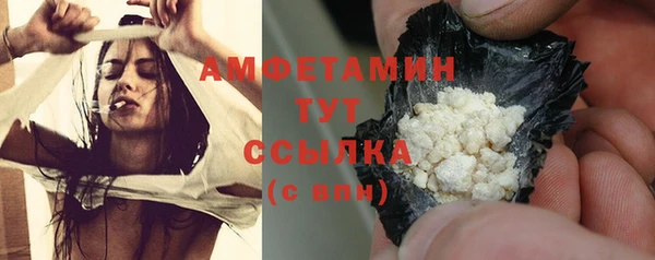 ГАЛЛЮЦИНОГЕННЫЕ ГРИБЫ Аркадак