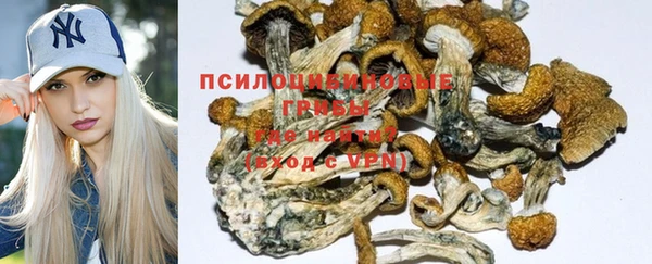 винт Ельня