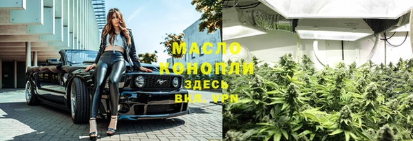сатива Армянск